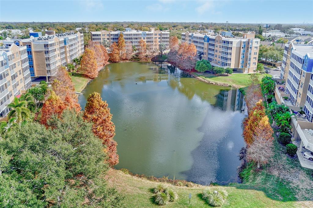 960 Starkey Road, Unit 3302 Largo, FL 33771 - Photo 25 of 28 an aerial view of residential houses with outdoor space and lake view
