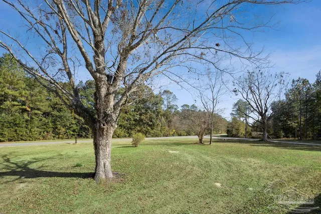 a view of yard with tree