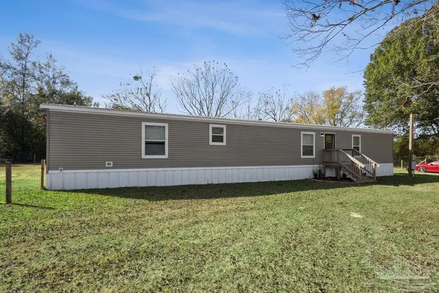 a view of a backyard with potted plants and large tree