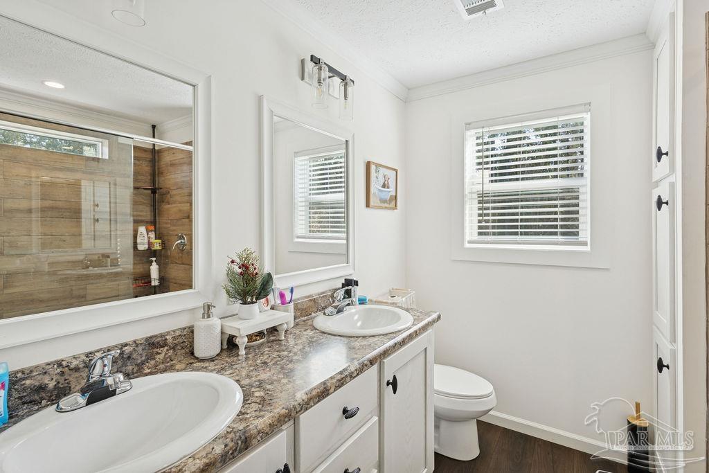 10309 Highway 89 Jay, FL 32565 - Photo 9 of 28 a bathroom with a granite countertop toilet a sink a mirror a shower and a window