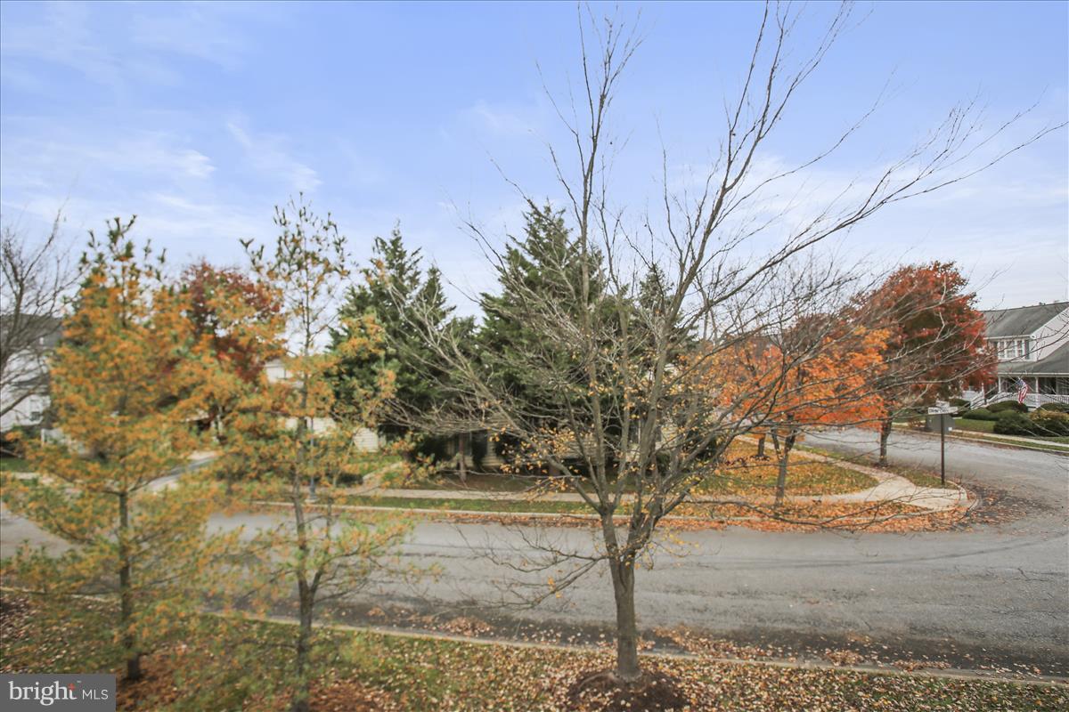 2381 Bear Den Road Frederick, MD 21701 - Photo 5 of 11 a view of yard with trees