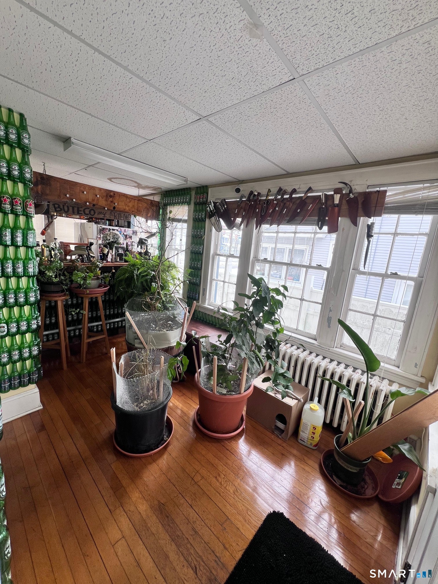 3461 East Main Street Bridgeport, CT 06606 - Photo 5 of 68 a living room with furniture and a potted plant