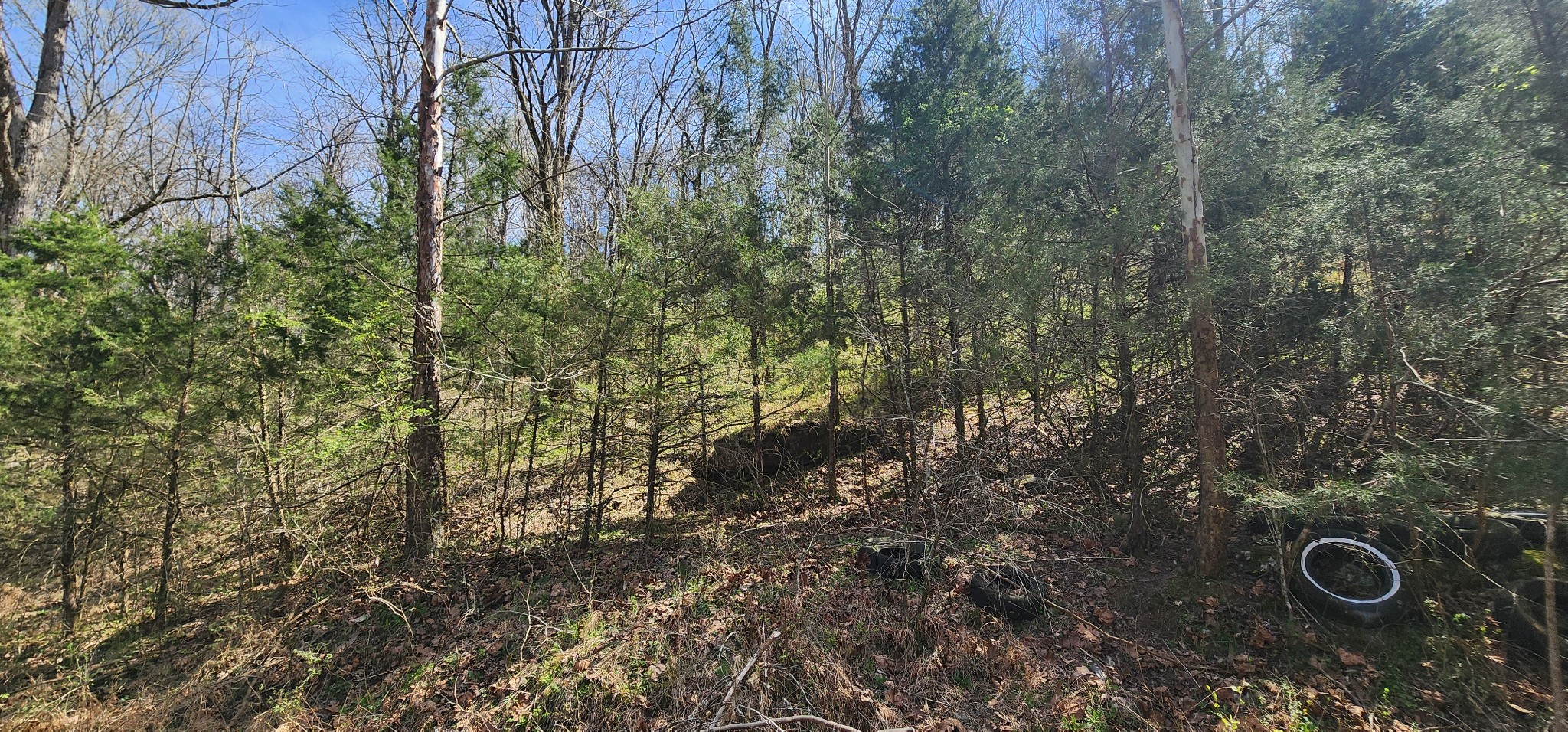 0 Wilson Hollow Road Liberty, TN 37095 - Photo 5 of 11 a view of an outdoor space
