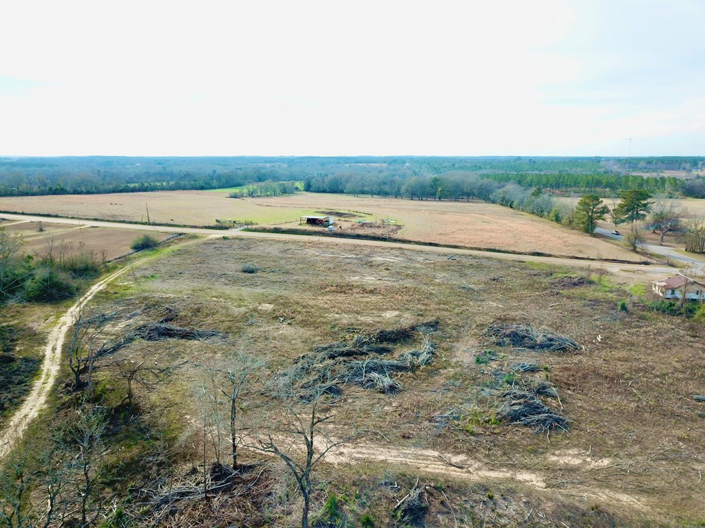 20-acres Hudson Road Columbia, AL 36319 - Photo 7 of 40