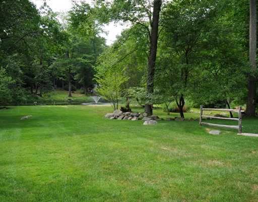769 Hollow Tree Ridge Road Darien, CT 06820 - Photo 15 of 15 a view of a park