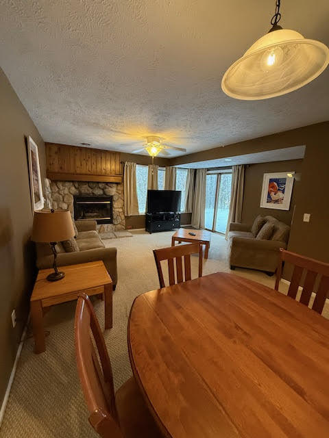4749 South Pleasantview Road, Unit 103 Harbor Springs, MI 49740 - Photo 8 of 17 unnamed