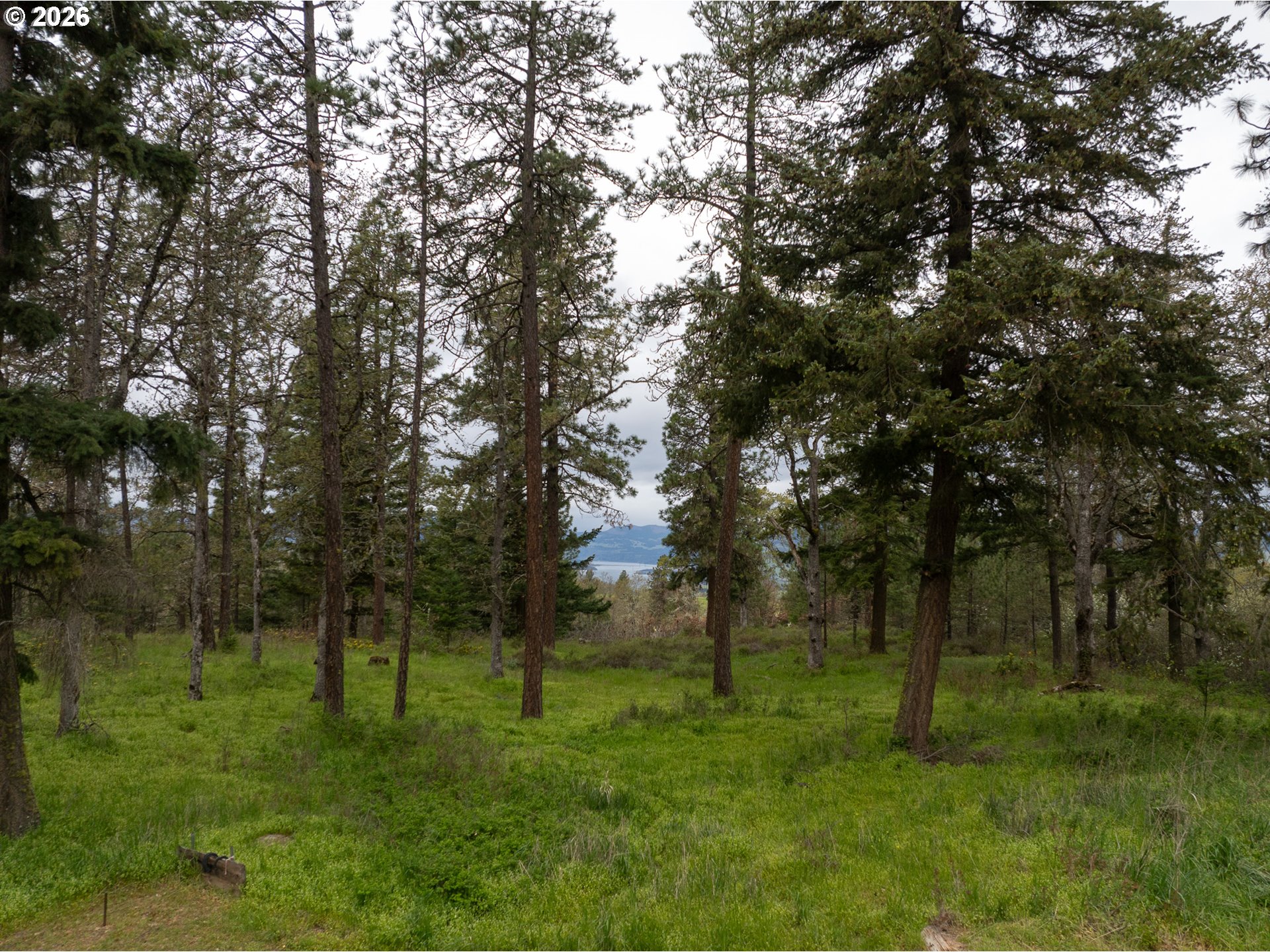 2023 State Road Mosier, OR 97040 - Photo 12 of 46