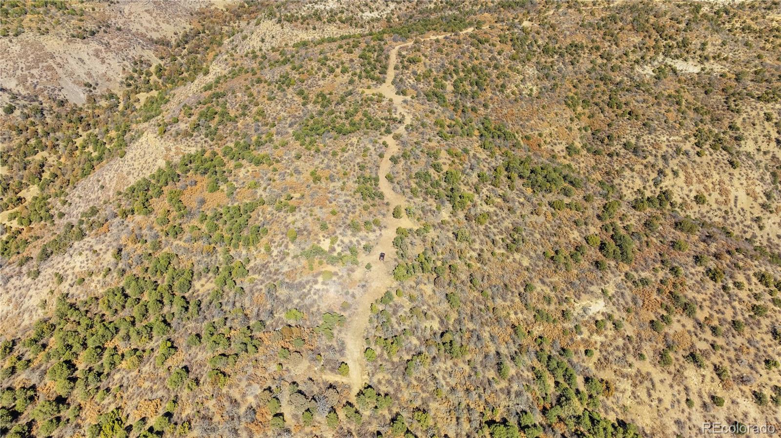 26 Rancho Verde Road Trinidad, CO 81082 - Photo 26 of 37 a close up of a plant