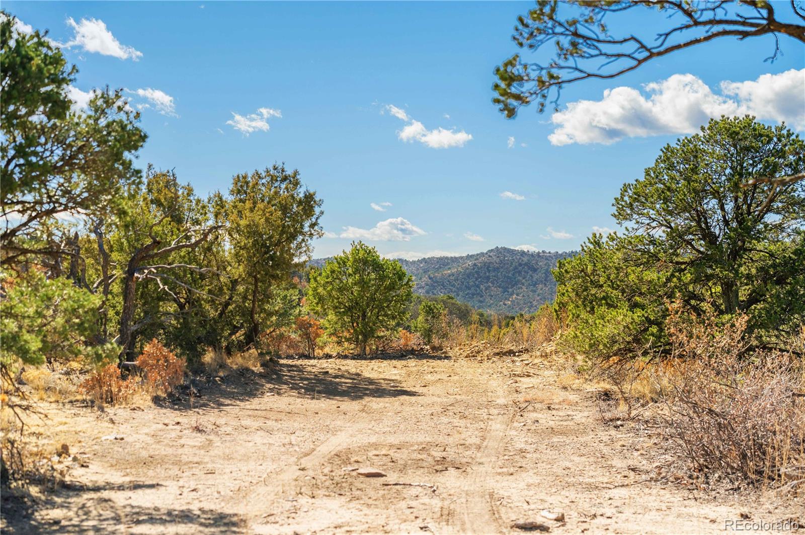 26 Rancho Verde Road Trinidad, CO 81082 - Photo 4 of 37 a view of a yard with a tree