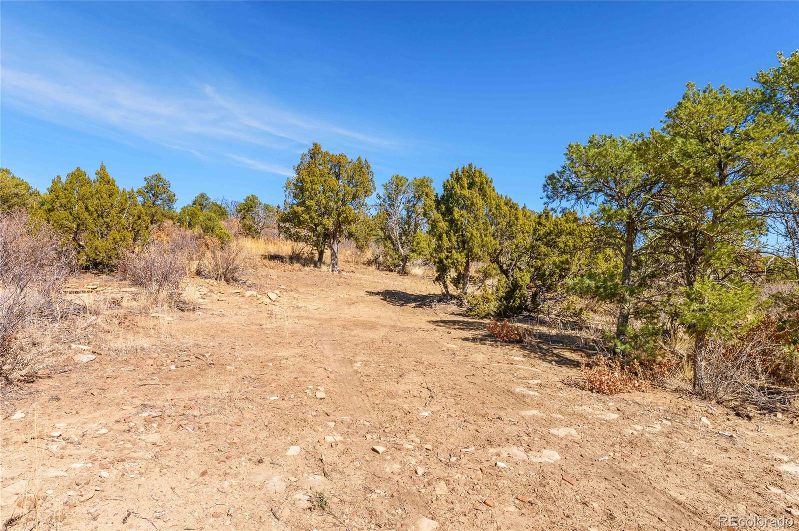 26 Rancho Verde Road Trinidad, CO 81082 - Photo 10 of 37 a view of a yard with trees in the background