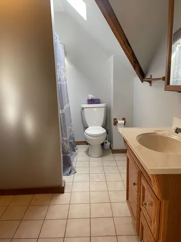 a bathroom with a sink a toilet and a mirror