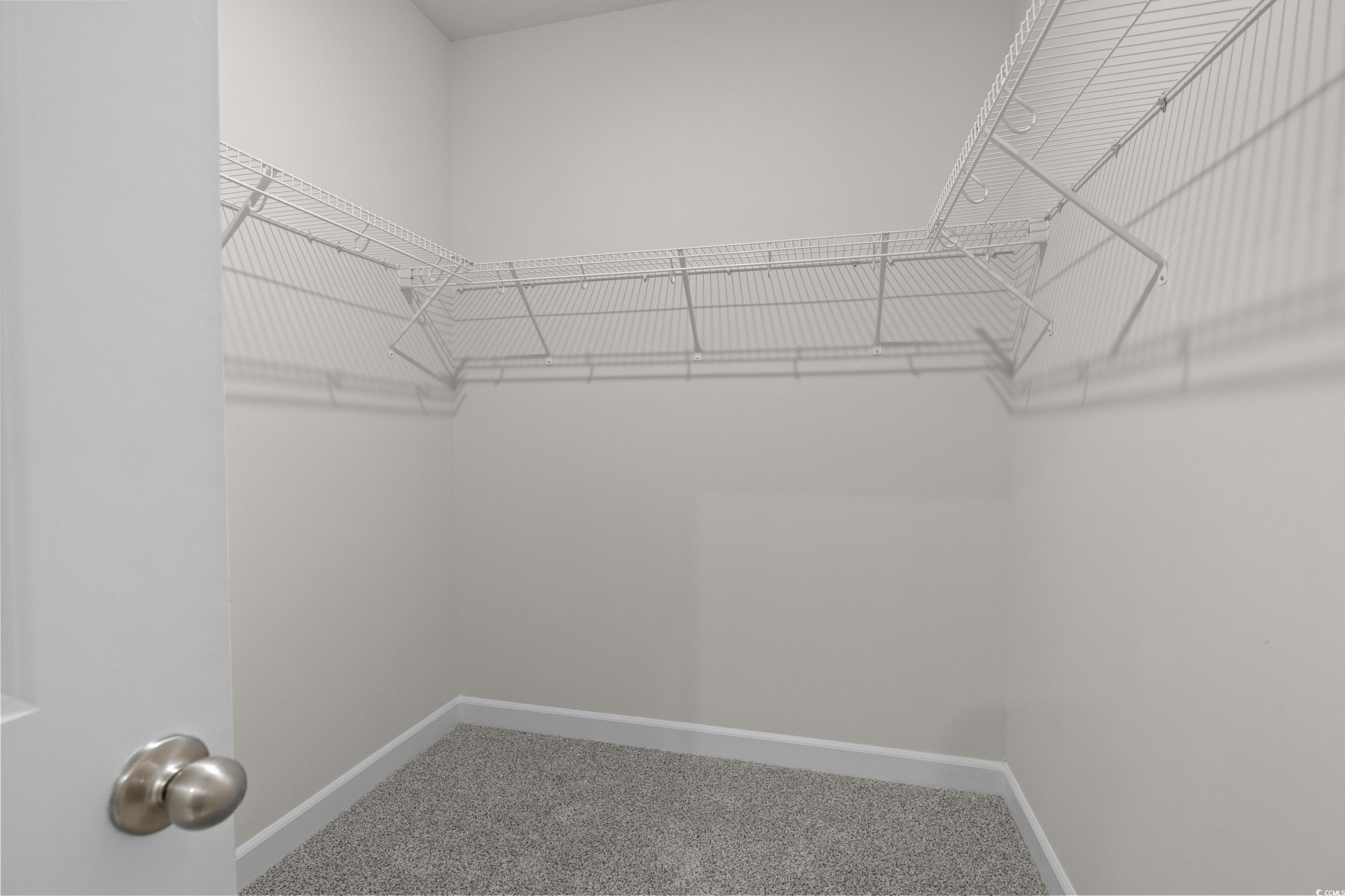 3512 Tranquility Loop Longs, SC 29568 - Photo 24 of 33 Walk in closet featuring carpet