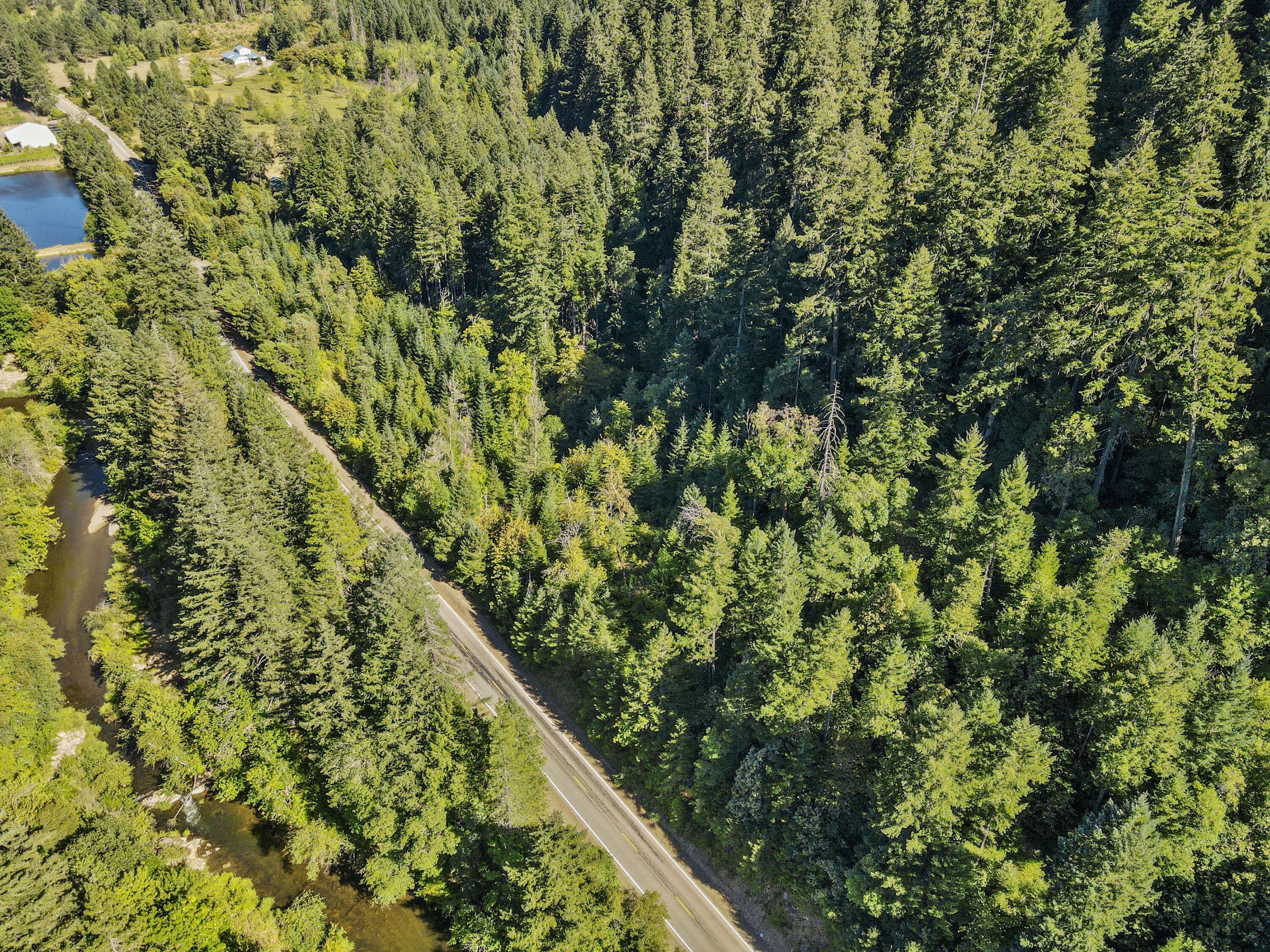0 Mt Reuben Road Glendale, OR 97442 - Photo 6 of 7 dji_fly_20250725_165850_761_175348796849