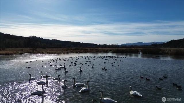 $750,000 | 105.33 Lincoln Creek Road, Rochester, WA 98579