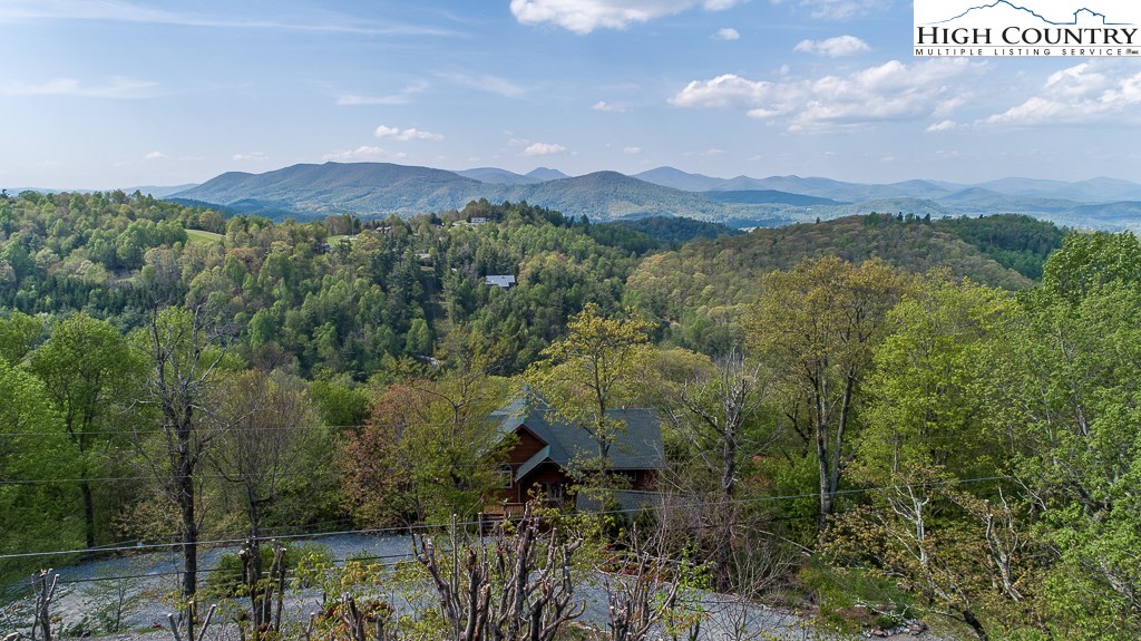149 Rambling Road Blowing Rock, NC 28605 - Photo 5 of 27 Gallery Image 5