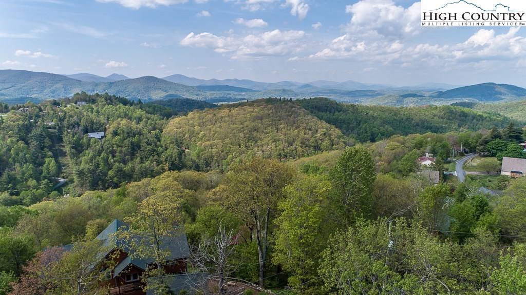 149 Rambling Road Blowing Rock, NC 28605 - Photo 7 of 27 Gallery Image 7