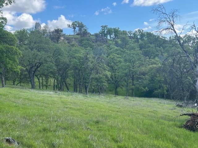 24 Wades Way Browns Valley, CA 95918 - Photo 2 of 4 a view of outdoor space with green field and trees