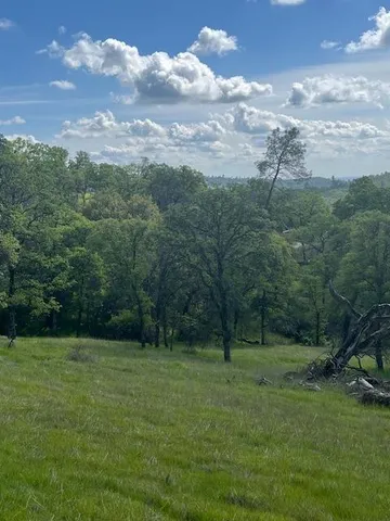 a view of outdoor space and yard