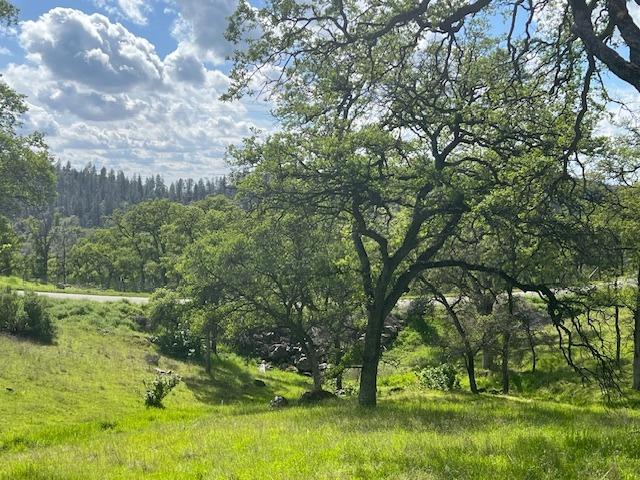 24 Wades Way Browns Valley, CA 95918 - Photo 4 of 4 a view of outdoor space with deck and yard