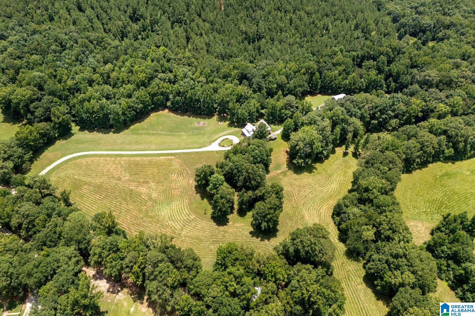 1420 Pepper Road Ashland, AL 36251 - Photo 63 of 68