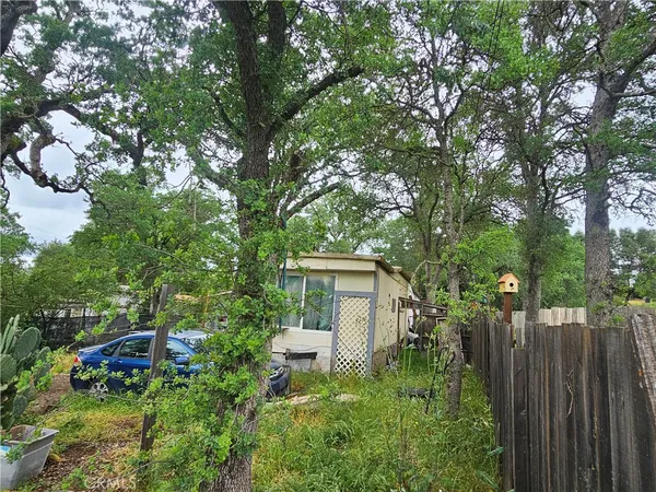 a backyard of a house with plants and tree