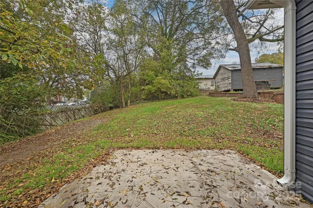 a view of a yard with plants and large trees