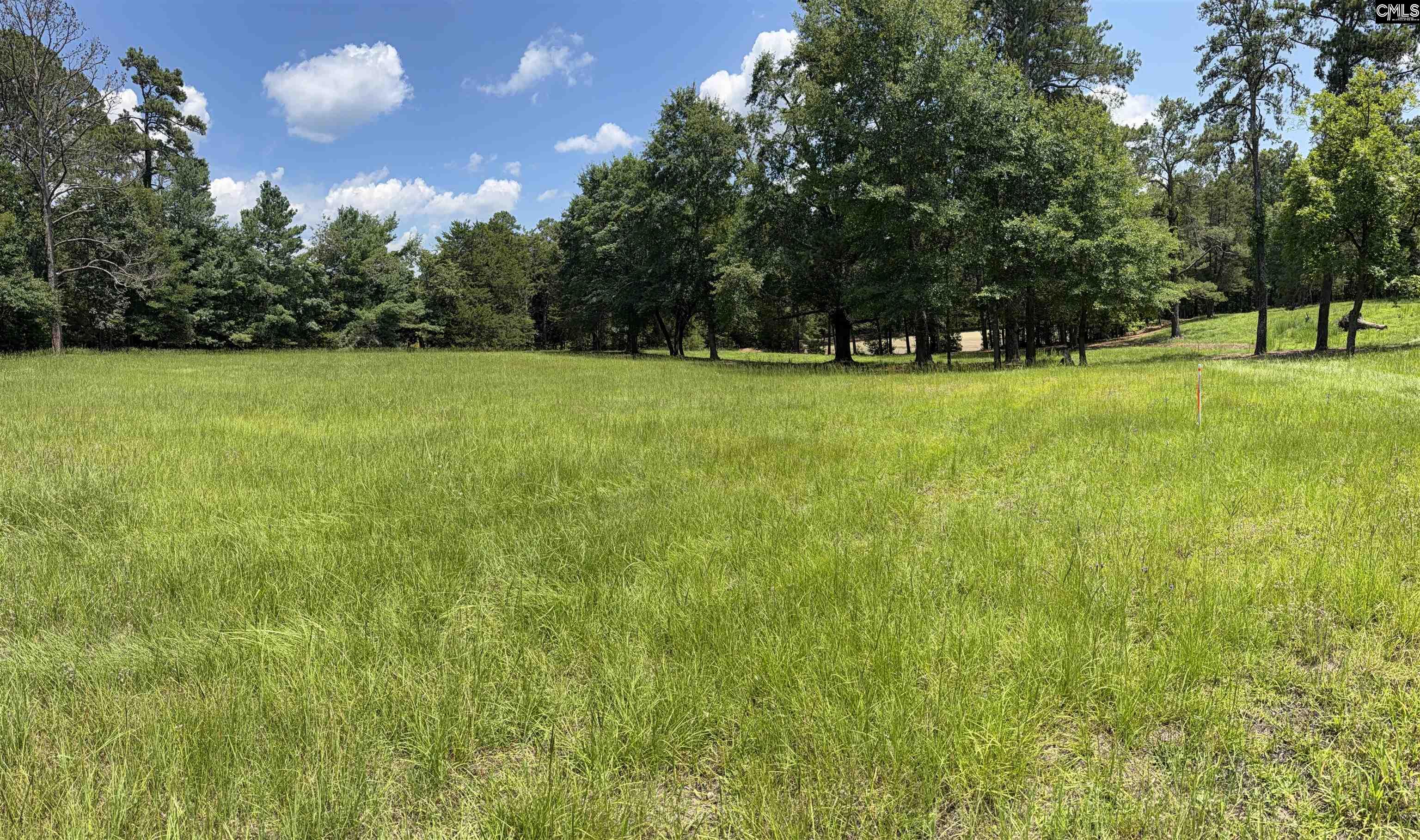 812 Sandfield Road Blythewood, SC 29016 - Photo 16 of 25