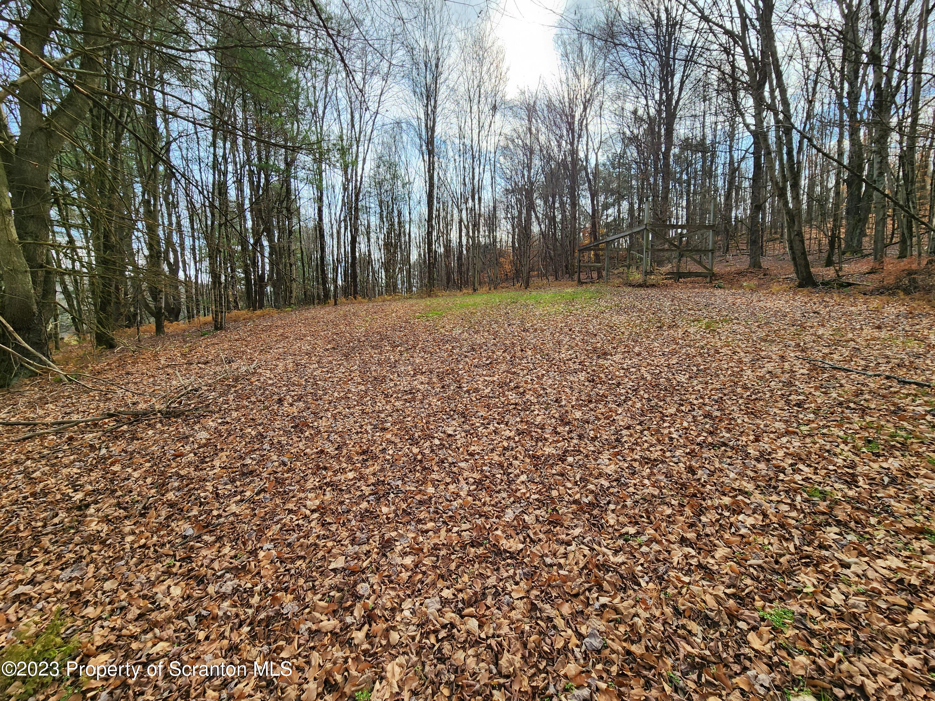 1575 State Rte 2009 Nicholson, PA 18446 - Photo 11 of 54 a backyard of a house with large trees