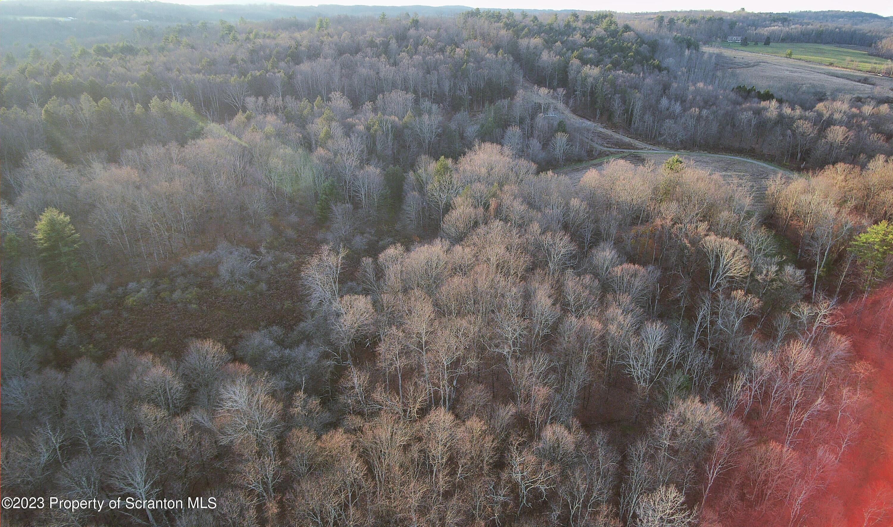 1575 State Rte 2009 Nicholson, PA 18446 - Photo 53 of 54 a view of a dry yard