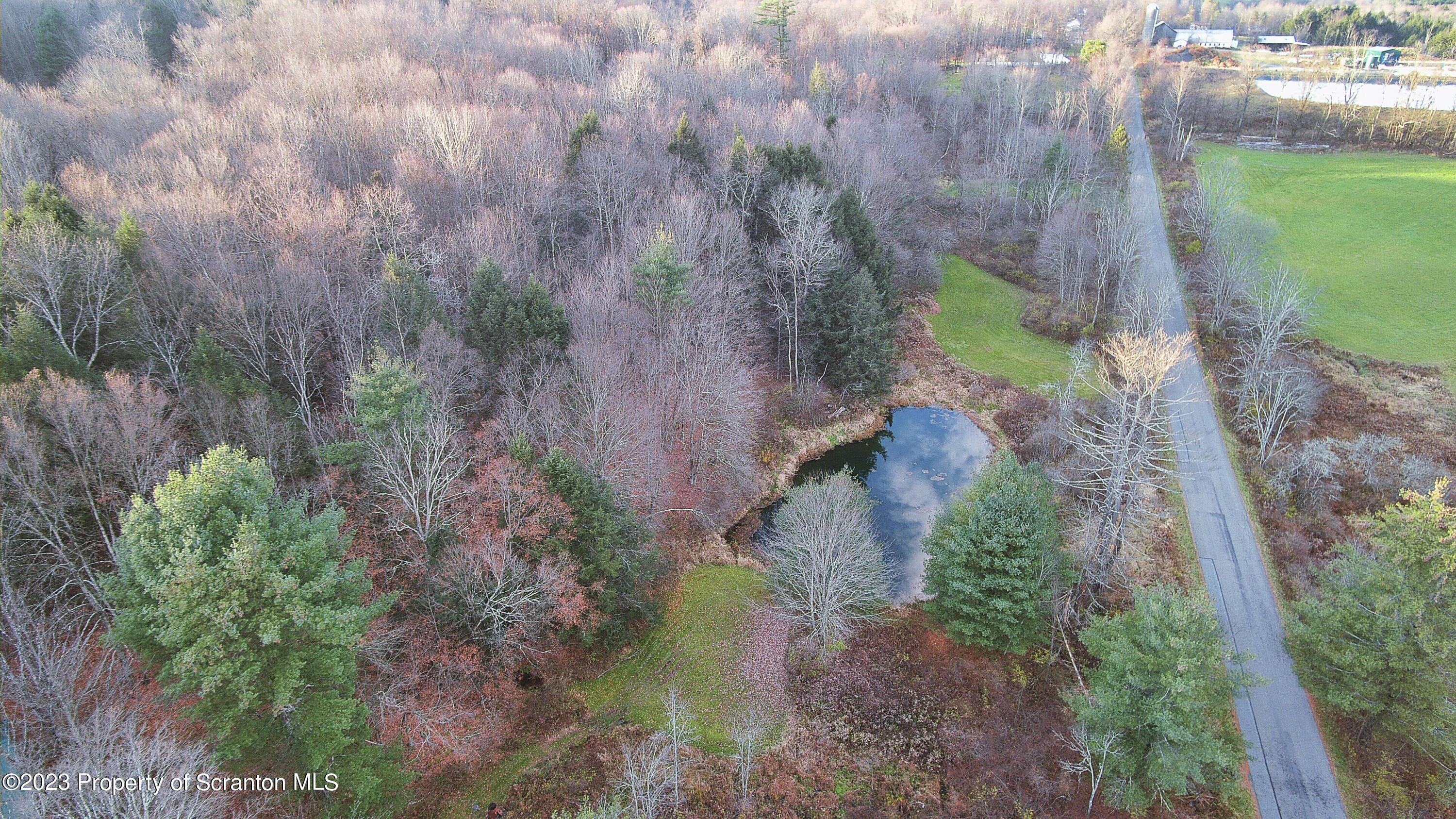 1575 State Rte 2009 Nicholson, PA 18446 - Photo 54 of 54 a backyard of a house with lots of green space