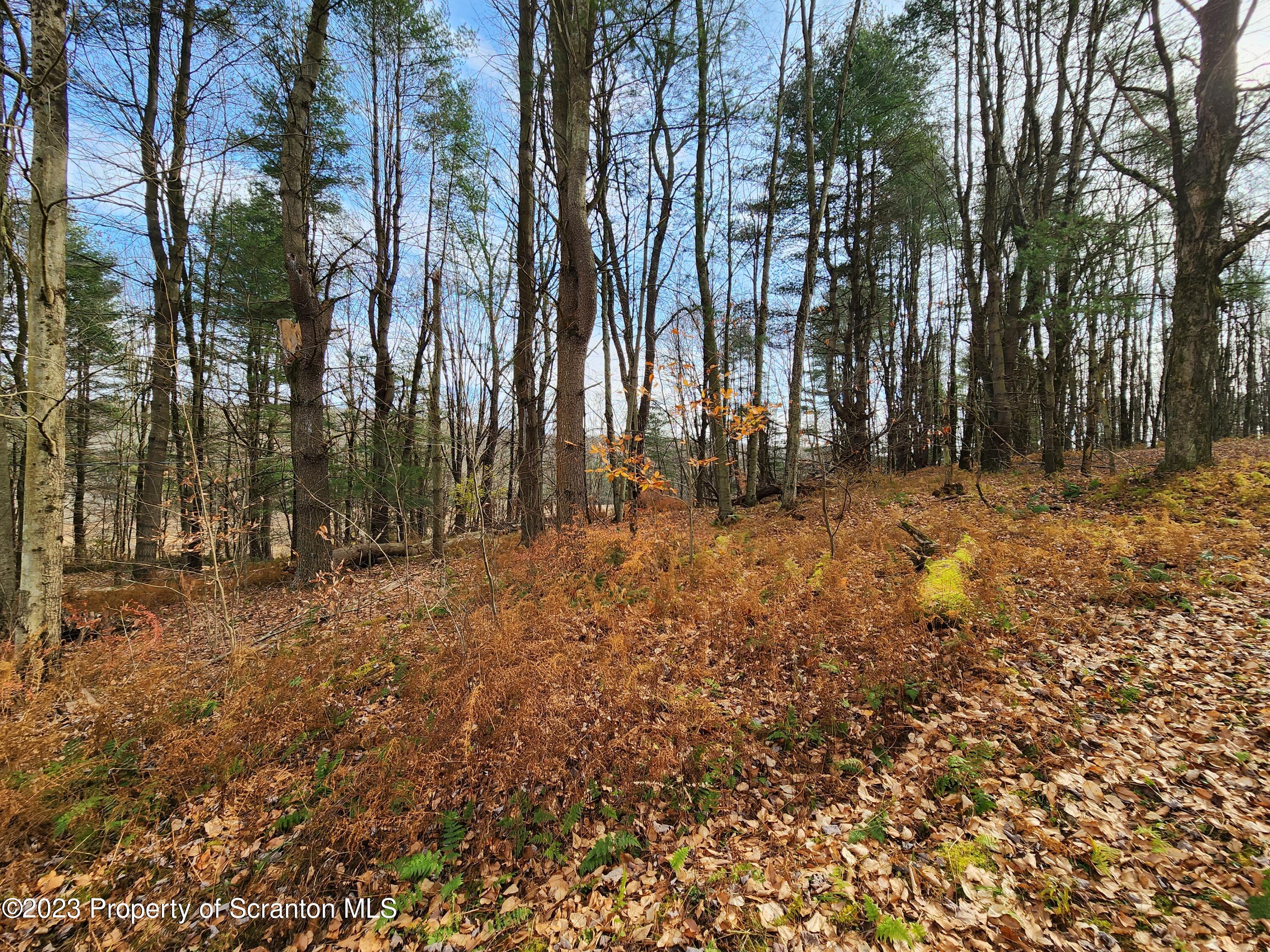 1575 State Rte 2009 Nicholson, PA 18446 - Photo 7 of 54 a view of outdoor space with trees