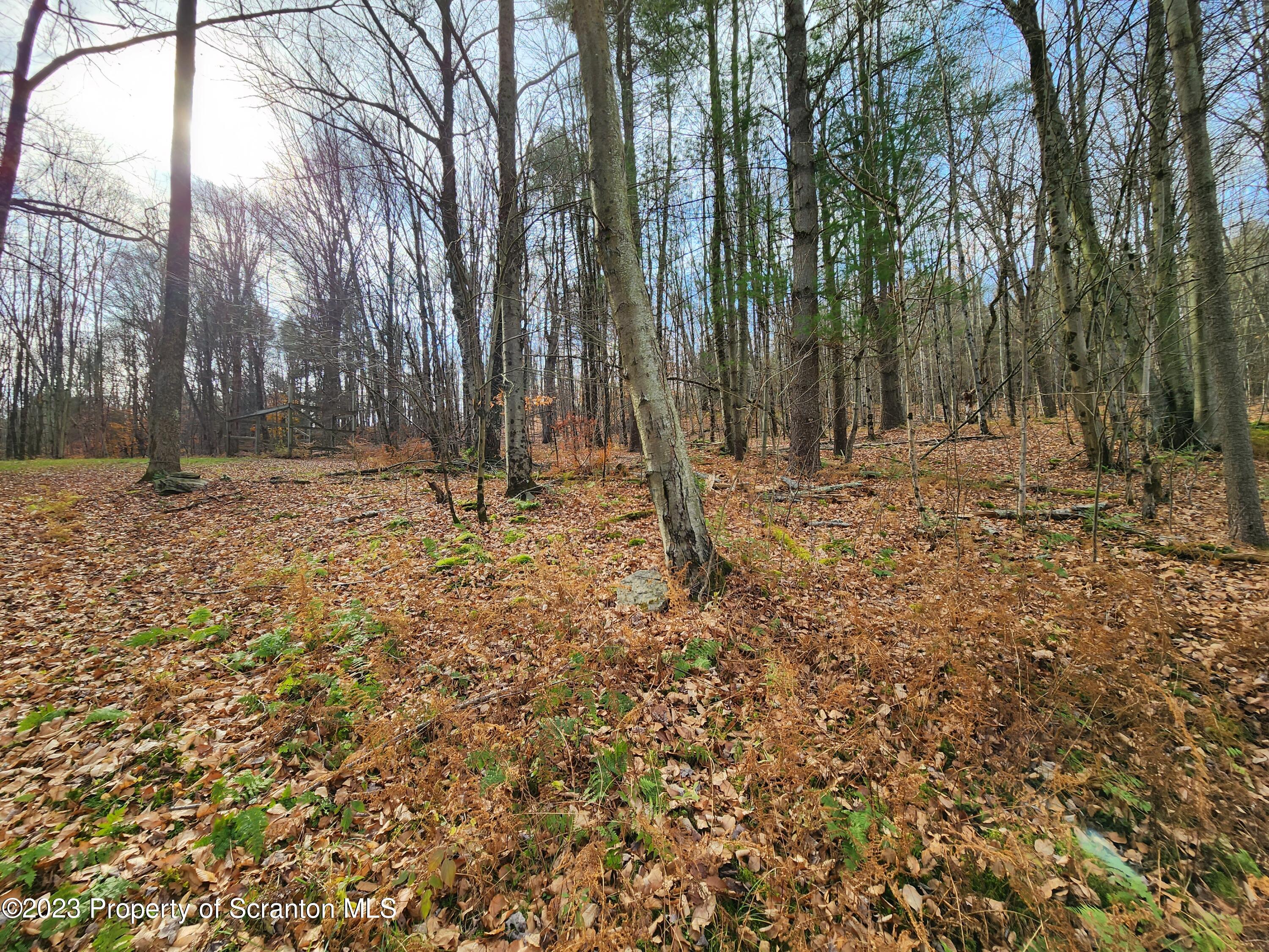 1575 State Rte 2009 Nicholson, PA 18446 - Photo 9 of 54 a fire hydrant in the middle of a yard