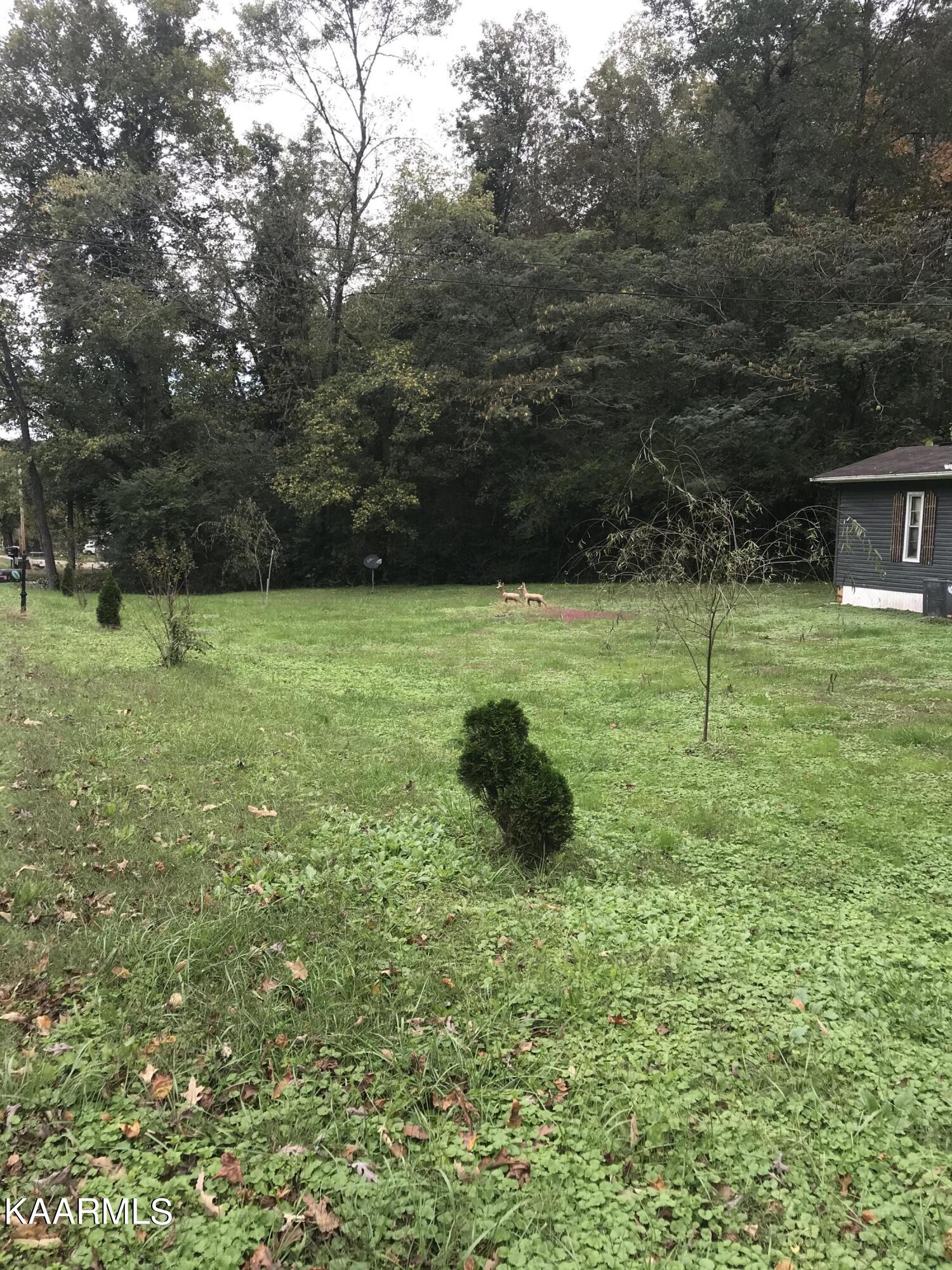 1907 Ruritan Road Harriman, TN 37748 - Photo 6 of 8 7F806ABD-CDC2-4EBD-B2CC-DD5E76925A87