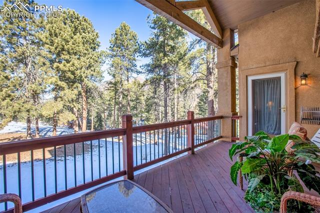 9070 Picabo Road Cascade, CO 80809 - Photo 17 of 21