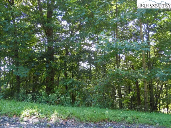 $31,200 | 15 Great Sky Drive, Todd, NC 28684