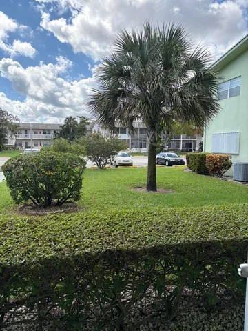 a view of a garden with palm trees