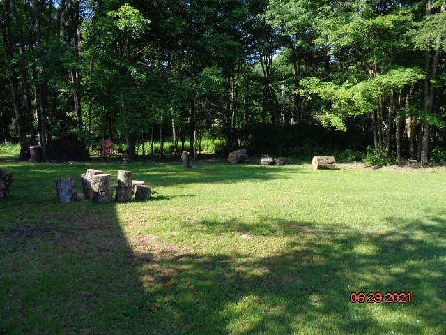 82 Wolfs Corner Road Tionesta, PA 16353 - Photo 9 of 25