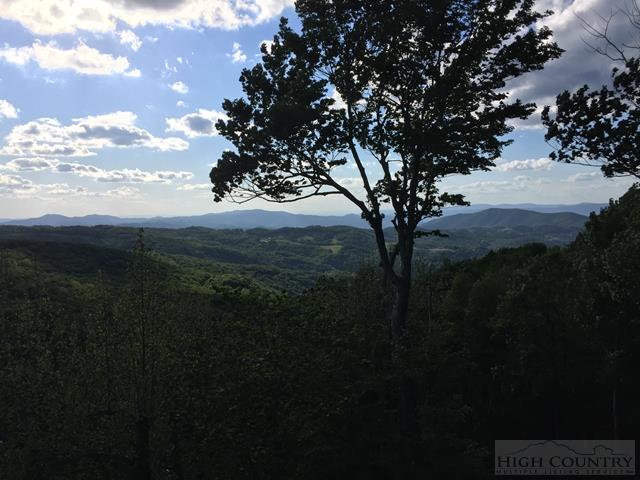 112 Hummingbird Road Beech Mountain, NC 28604 - Photo 28 of 35 Gallery Image 28
