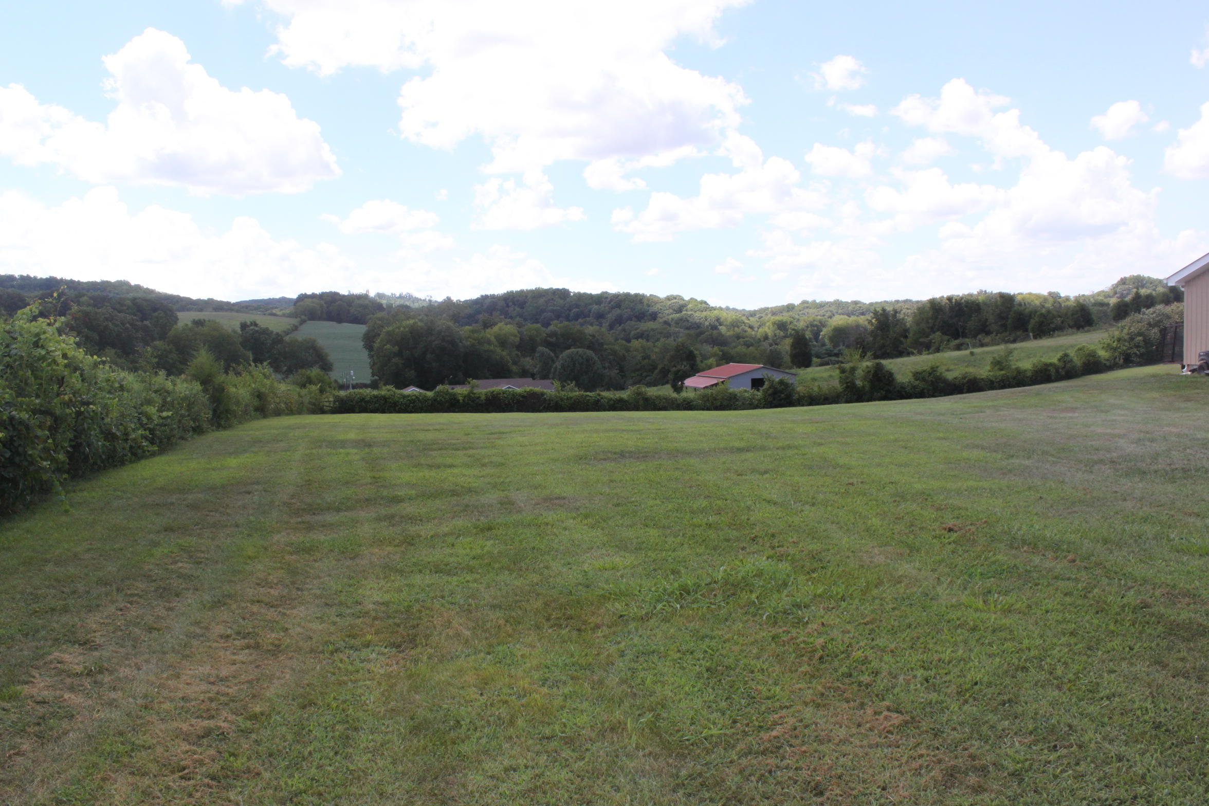 1449 Calloway Road Loudon, TN 37774 - Photo 10 of 30 IMG_6894