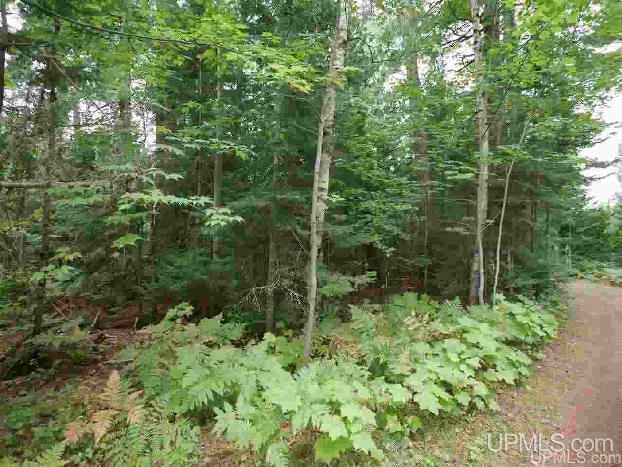 Lots 12-and 13 Lake Lily Road Mohawk, MI 49918 - Photo 15 of 27