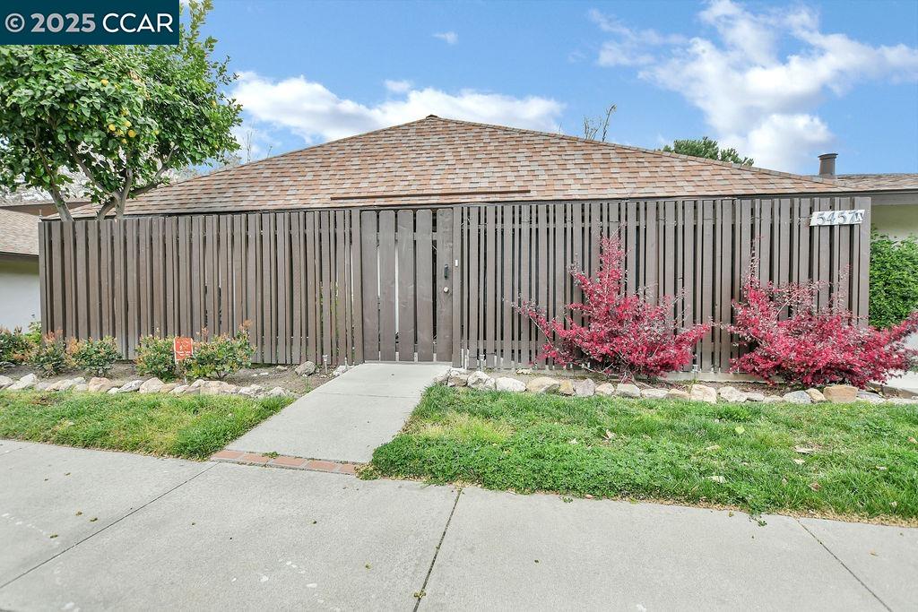 a garden view with a pathway