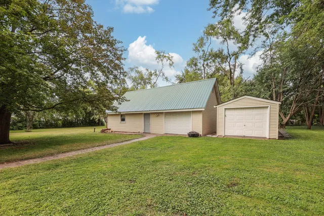 a view of a tree in a park