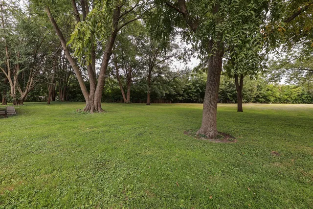 a view of a field with trees in front of it