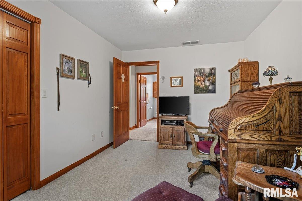 49 Woodland Trail Rochester, IL 62563 - Photo 46 of 98