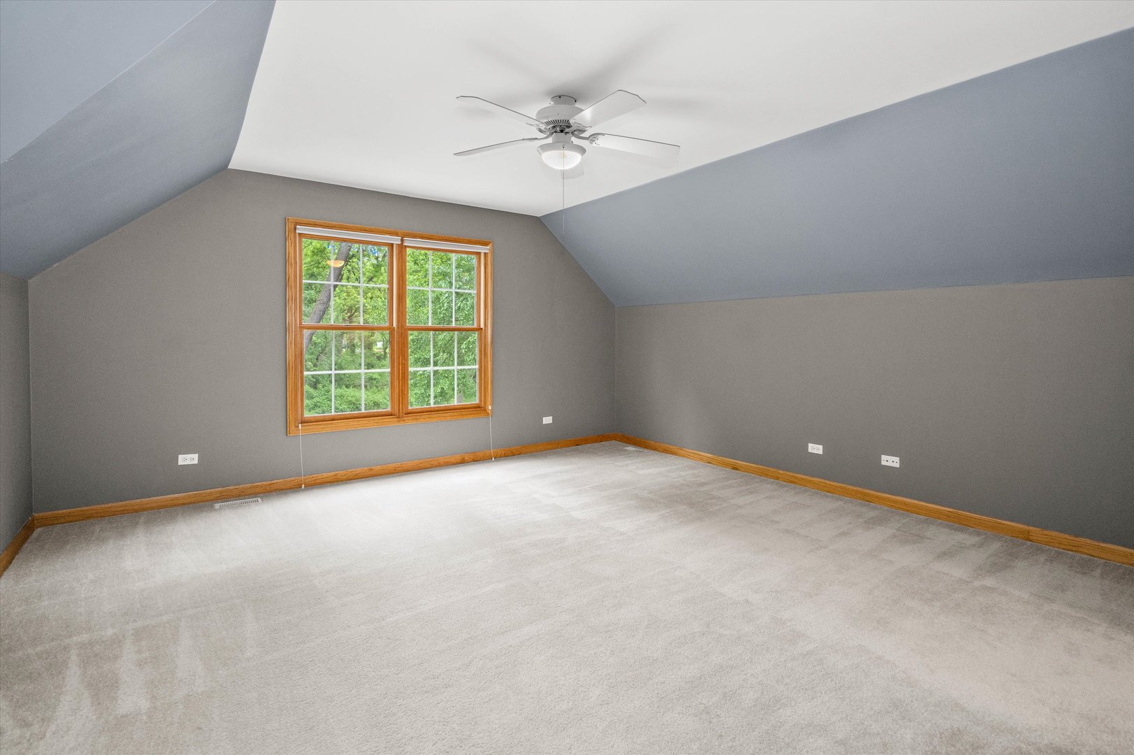 120 Fox Street Cary, IL 60013 - Photo 24 of 56 an empty room with windows and fan