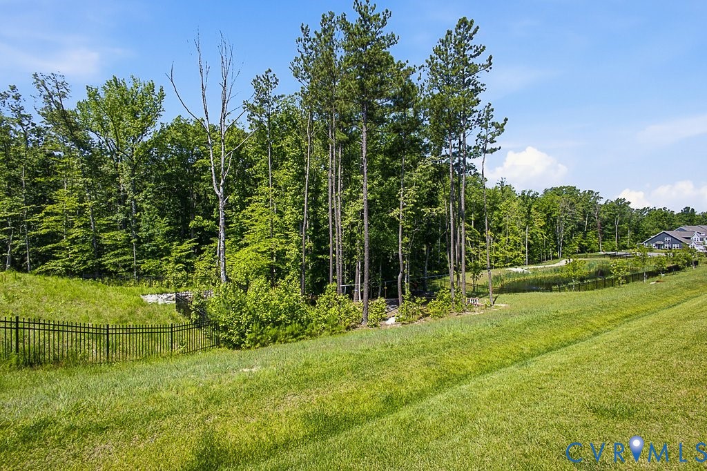 18517 Palisades Ridge Moseley, VA 23120 - Photo 38 of 55 a view of outdoor space and yard