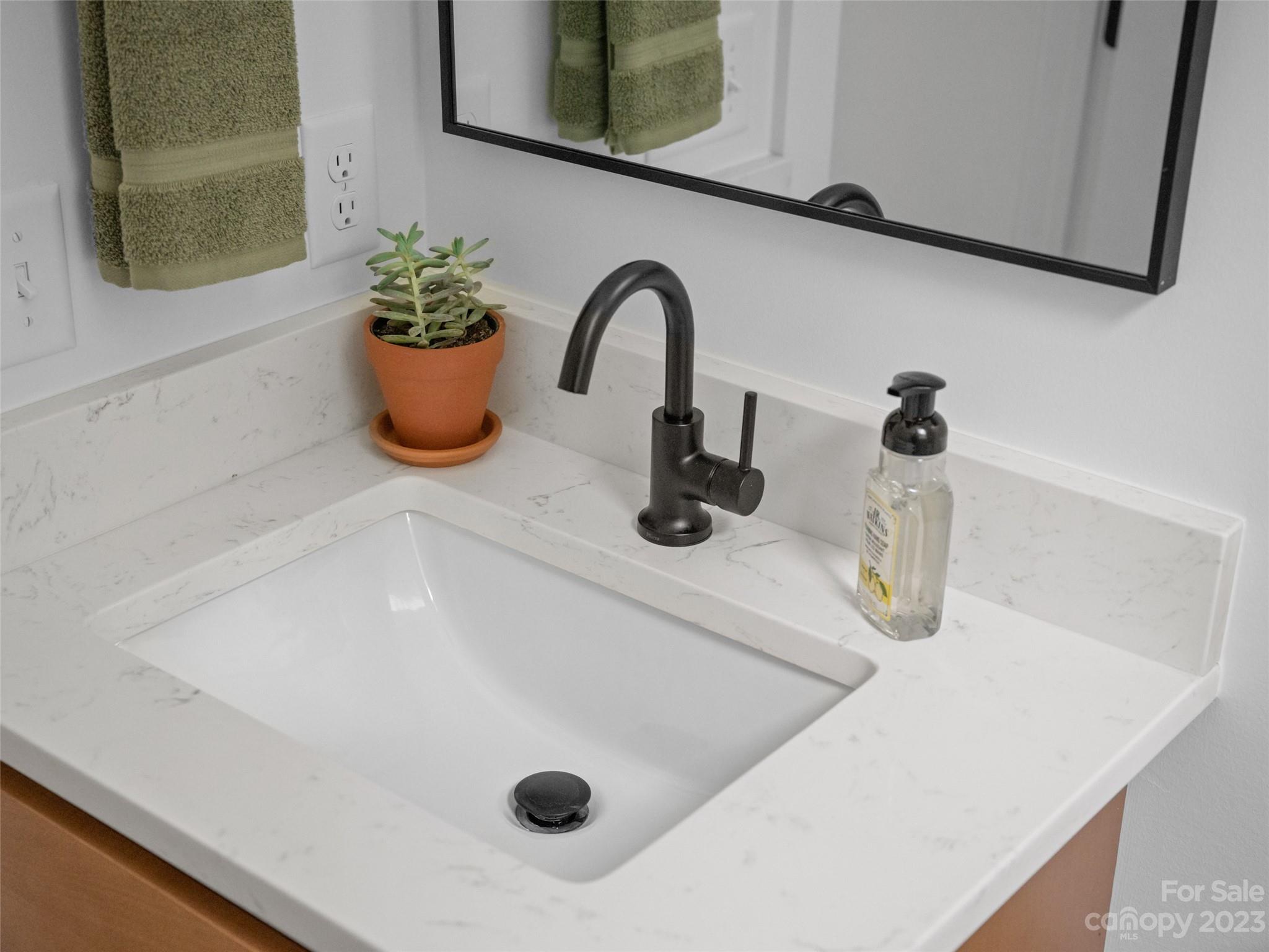 67 Raleigh Road Asheville, NC 28803 - Photo 22 of 43 a close view of sink and tap