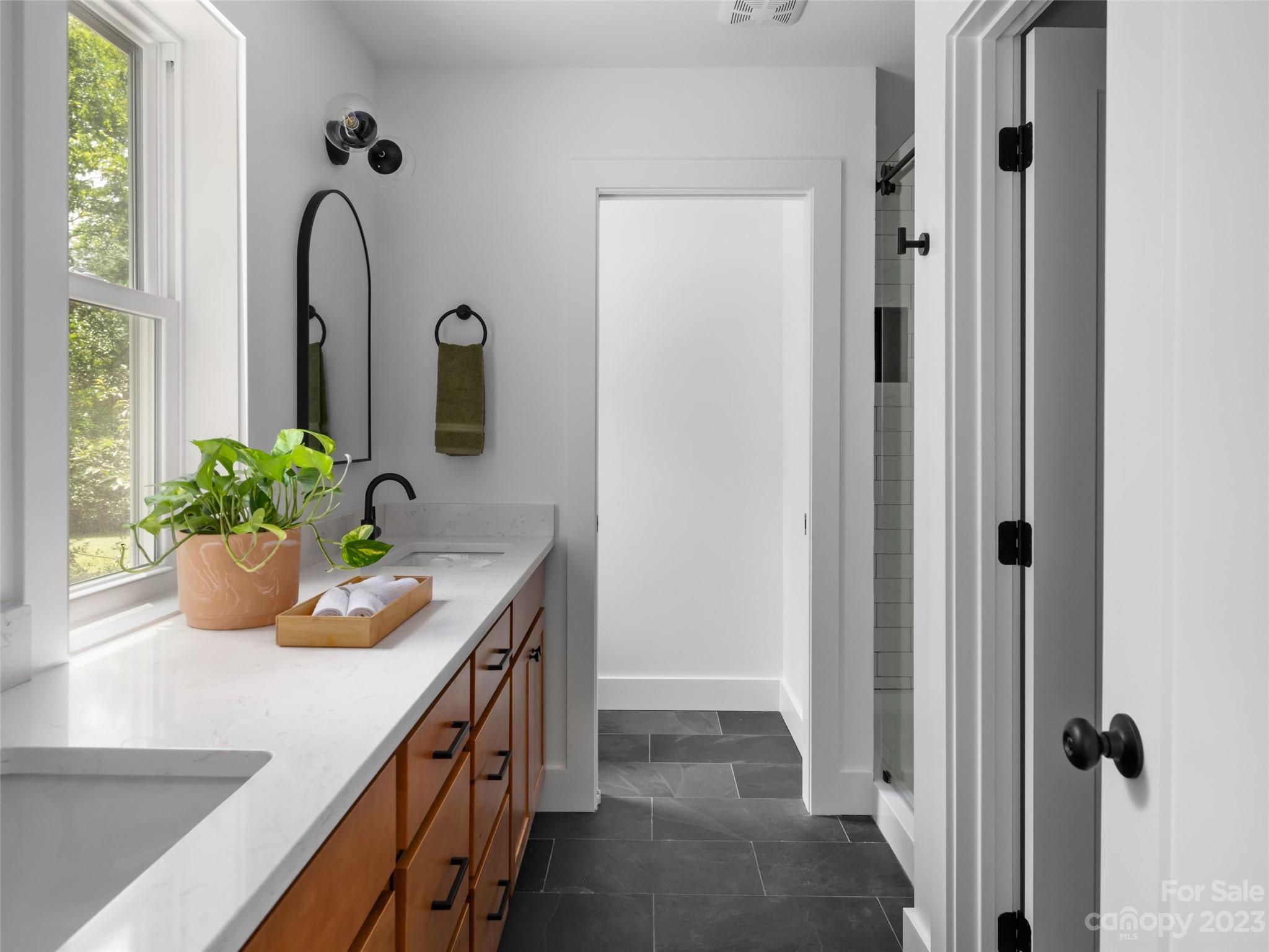67 Raleigh Road Asheville, NC 28803 - Photo 26 of 43 a bathroom with a sink a potted plant and a mirror