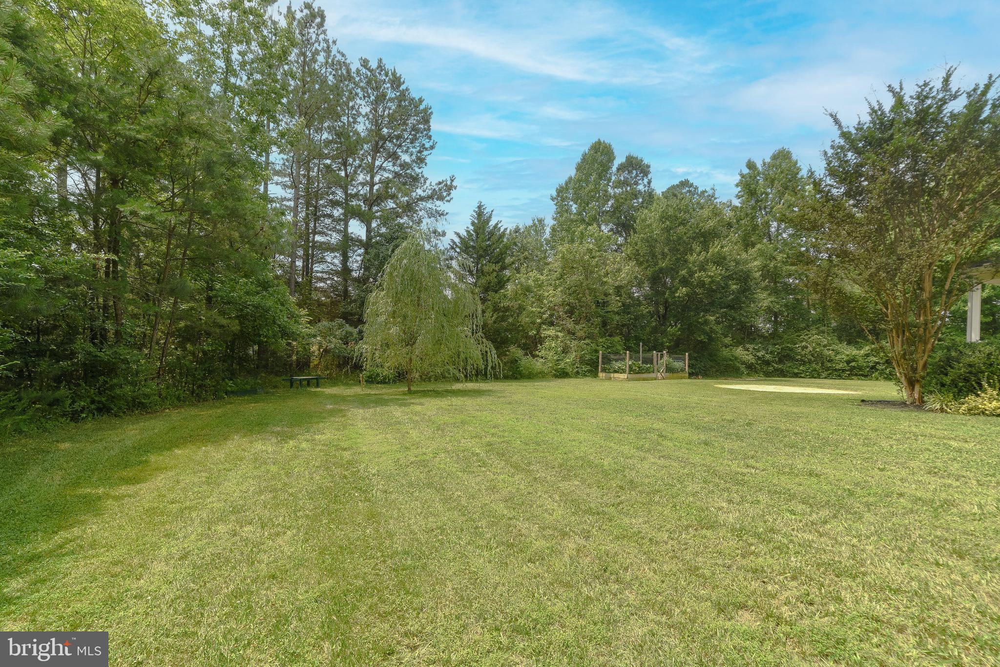 20450 Piney Point Road Callaway, MD 20620 - Photo 6 of 68 Nice Yard