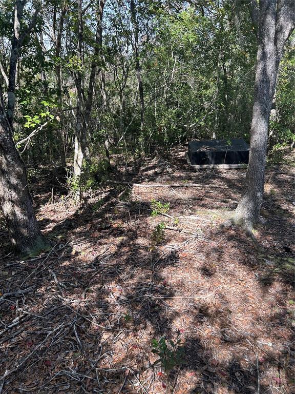 7740 East Smoke Trail Inverness, FL 34453 - Photo 5 of 8
